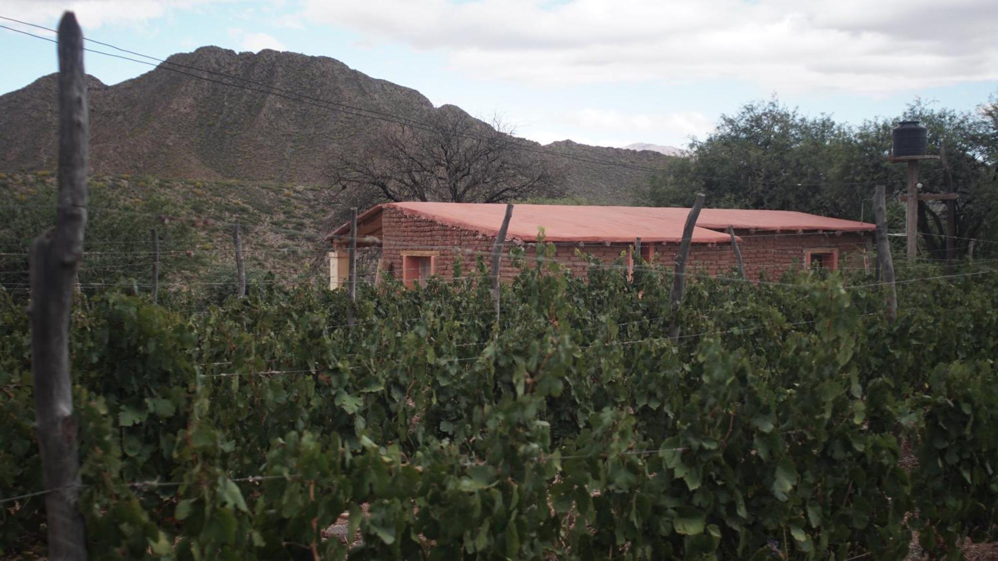Hospedaje Finca La Encantada Seclantás Exterior foto